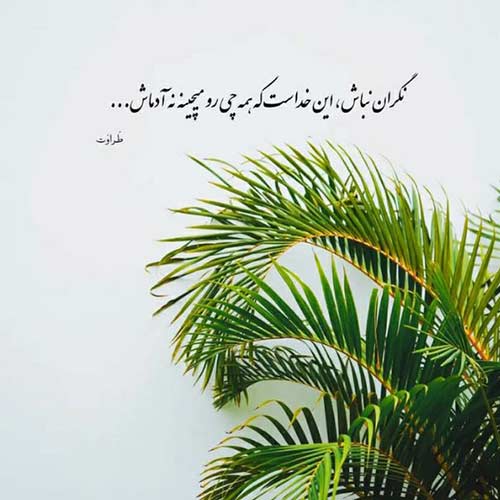 اهنگ باید تو رو پیدا کنم هر روز تنهاتر نشی شادمهر