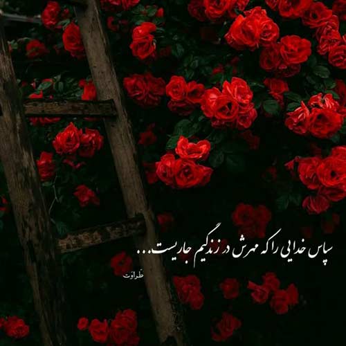 اهنگ ولی من بیتو میمیرم به حال من یه فکری کن منصور
