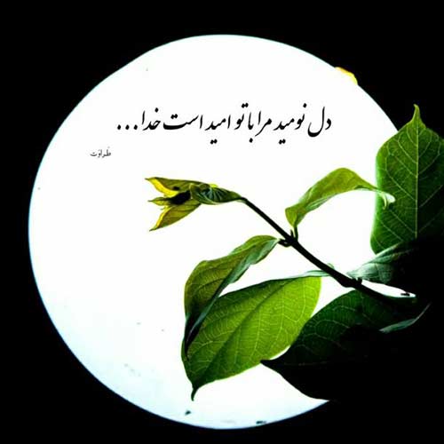 اهنگ هجوم می آرن روی چرت کوچه صدای شهر رو می برن آسمون ابی