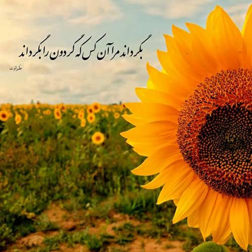 اهنگ جایی بریم که دلخوری نباشه دلها تو سینه آهنین نباشه هنگامه