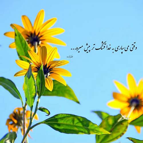 اهنگ همینکه دلم با توئه کافیه نمیخوام بدونم دلت با کیه معین