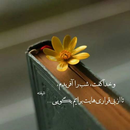اهنگ میشه رفت تو شهر قصه از لای ابر ها گذر کرد پویا