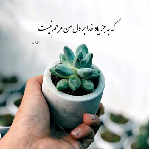 اهنگ چه کسی میکنه باور نشستن در حضورش پویا